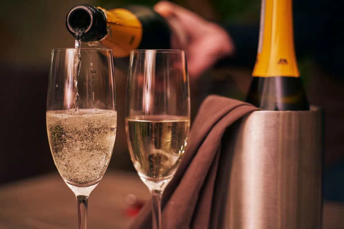 Clarksburg CA Wineries: A Wine Tasting Experience You’ll Never Forget