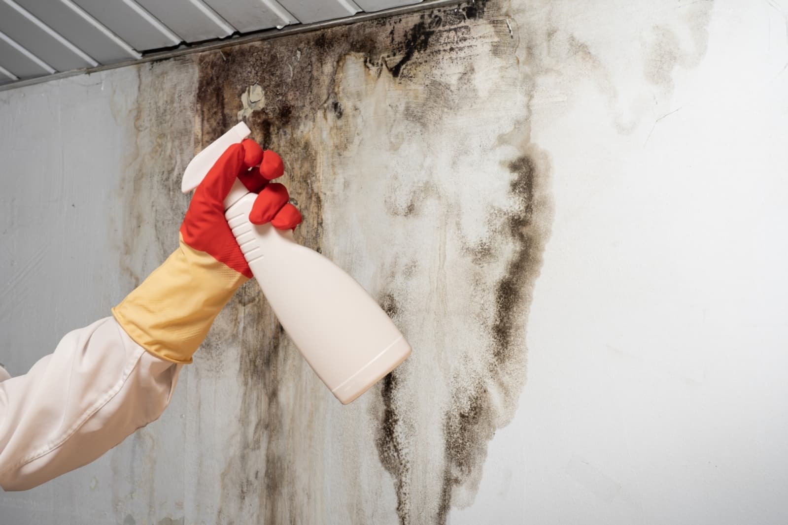 Advanced Restoration Solutions – mold remediation westlake hills tx