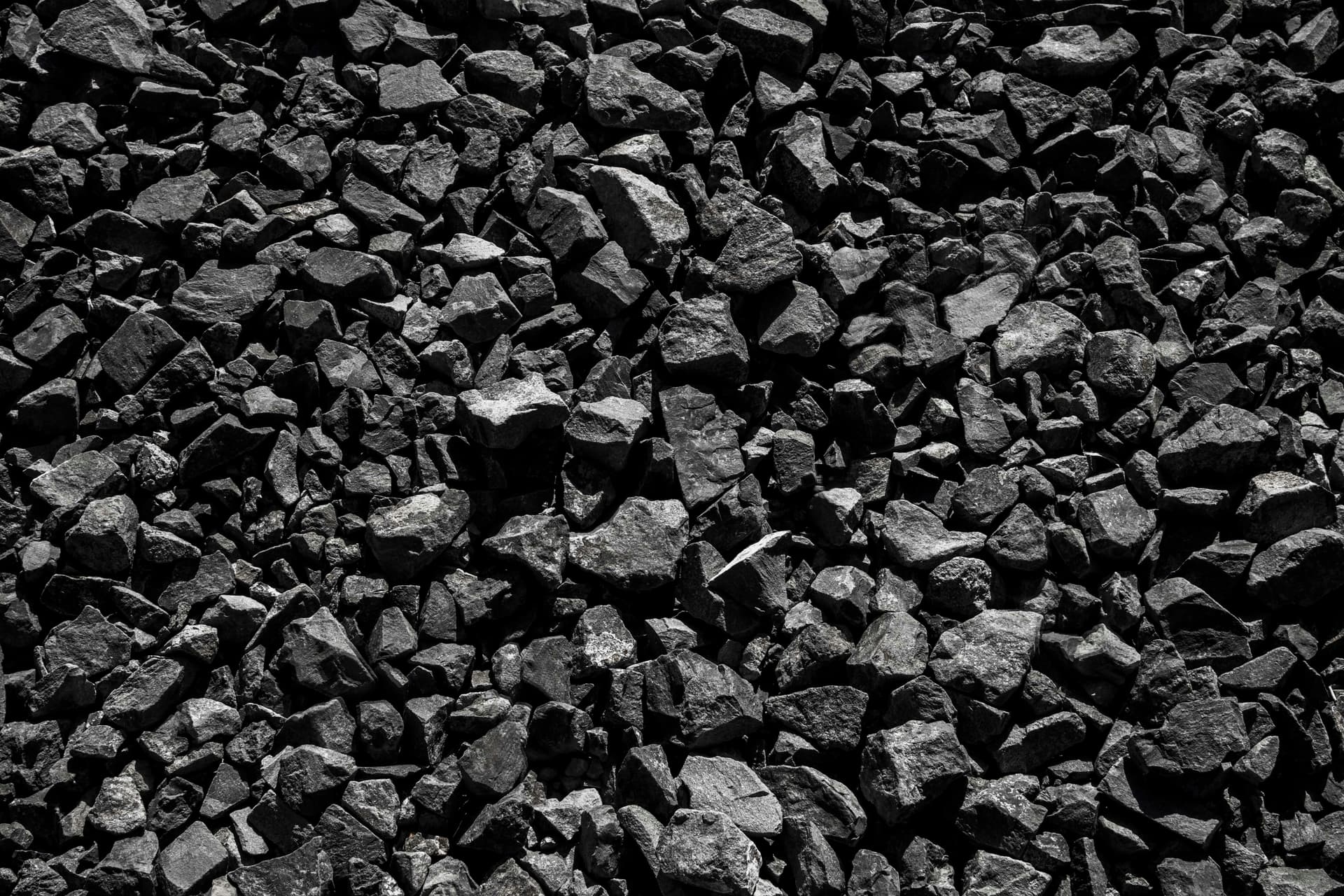 BBQ Charcoal Wholesale Netherlands for Restaurants and Retailers