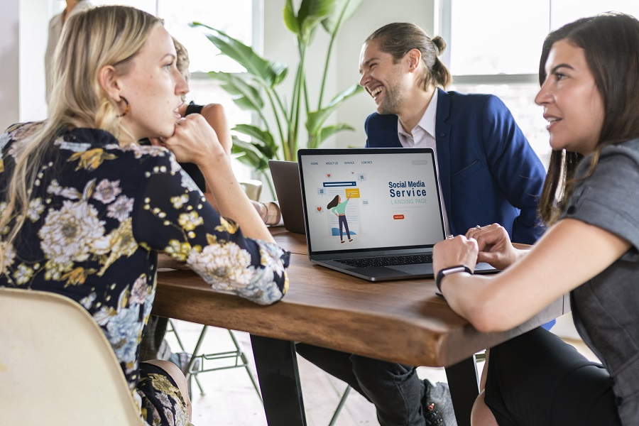 Seo Consultant