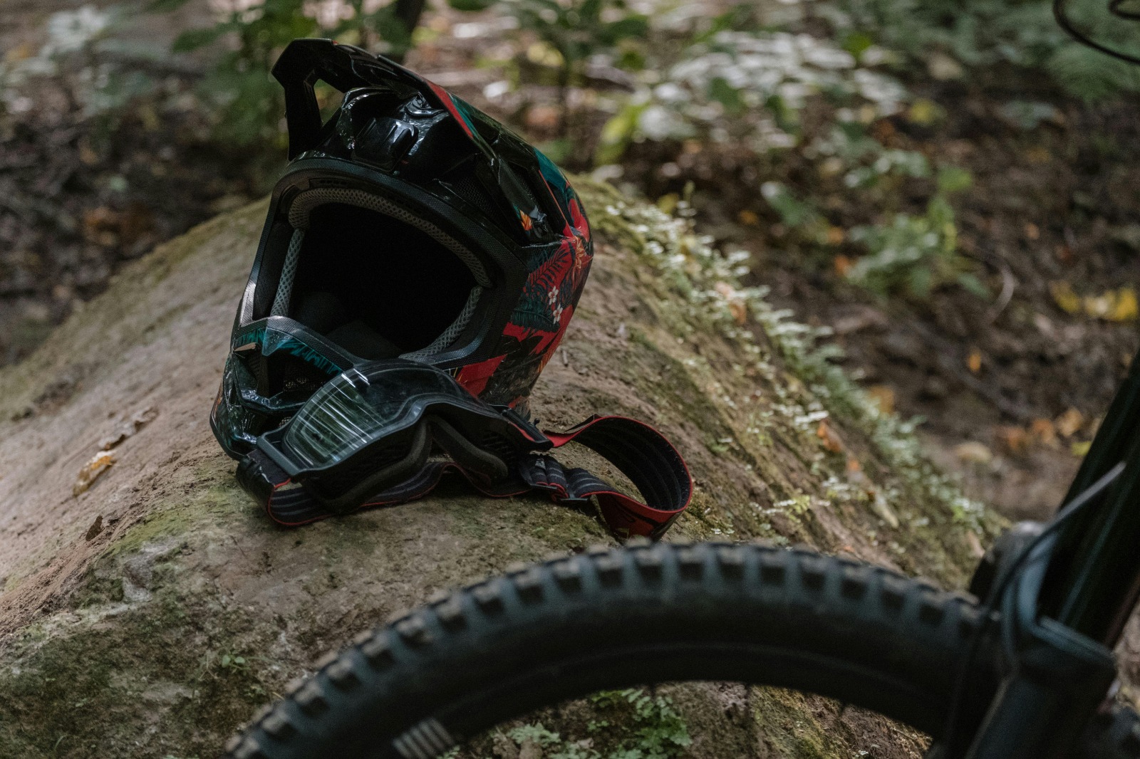 Explore Cool Bike Trails Near Me with Stunning Views