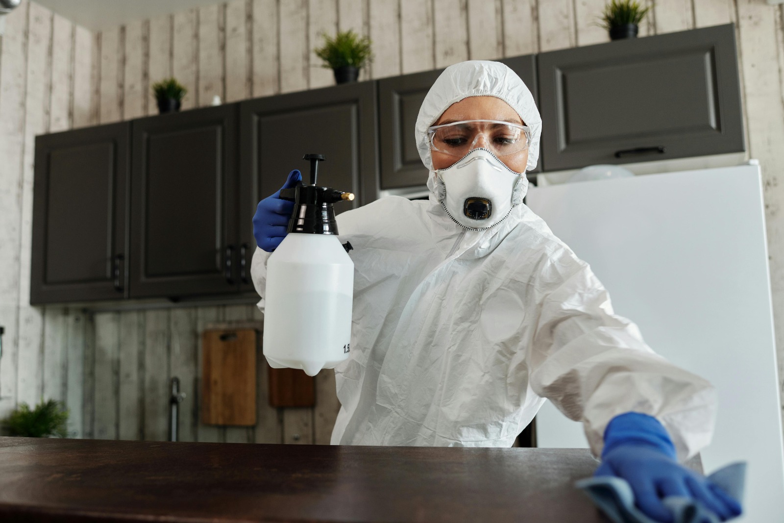 Residential Cleaning Services Near Me You’ll Love