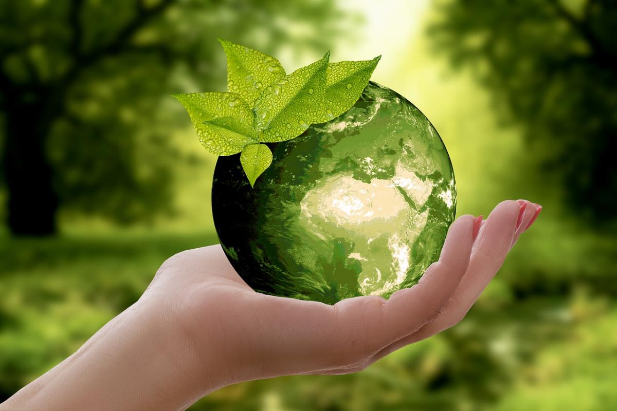 How Sustainability Shapes Our Organic Mission