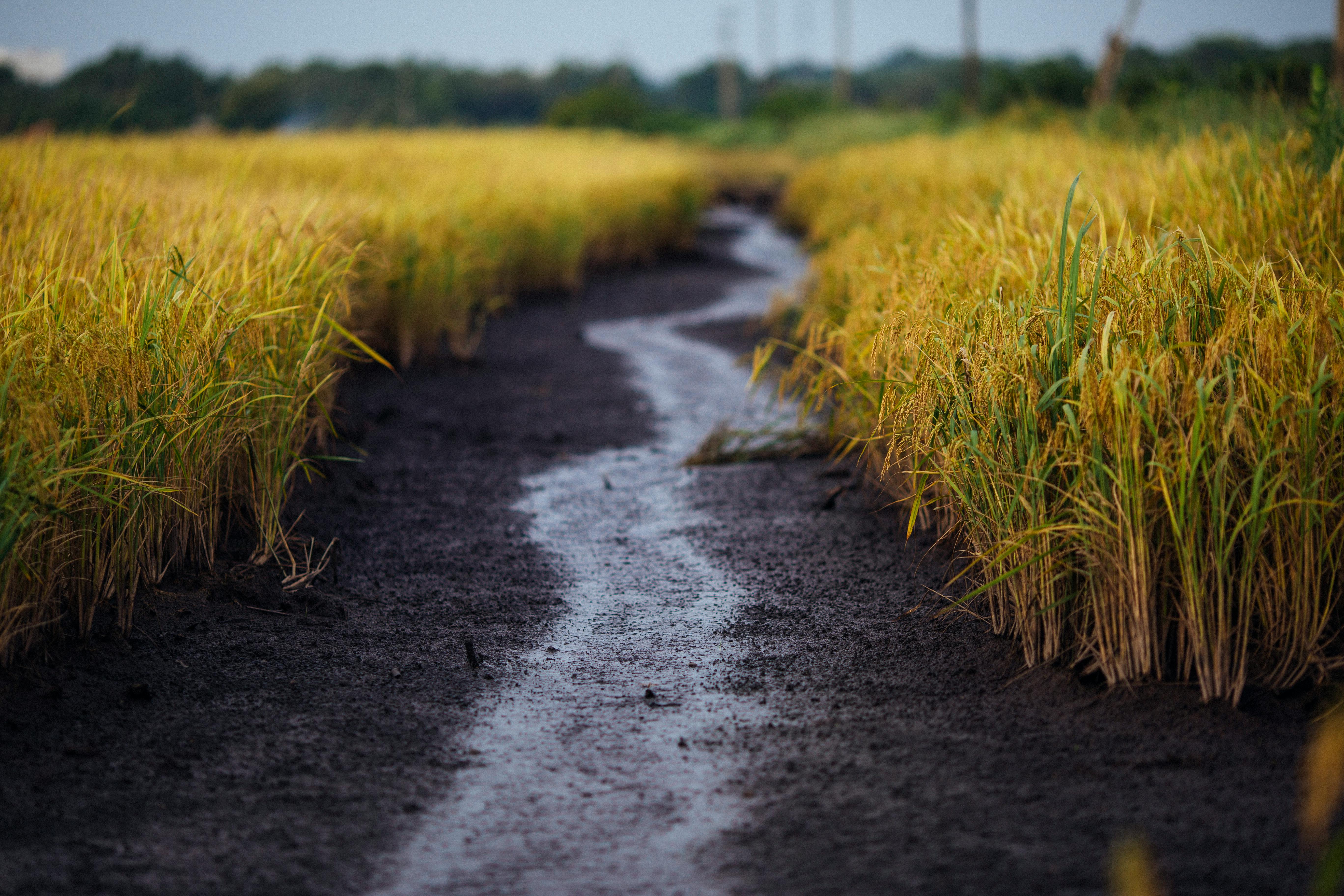 EXPERT PROFESSIONAL IRRIGATION SERVICES IN KELLER, TX FOR EVERY LAWN