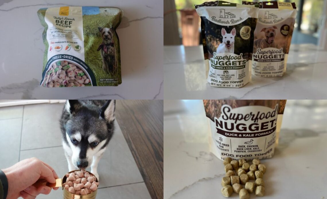 The Role of Superfoods in Dr Martys Dog Food Recipes