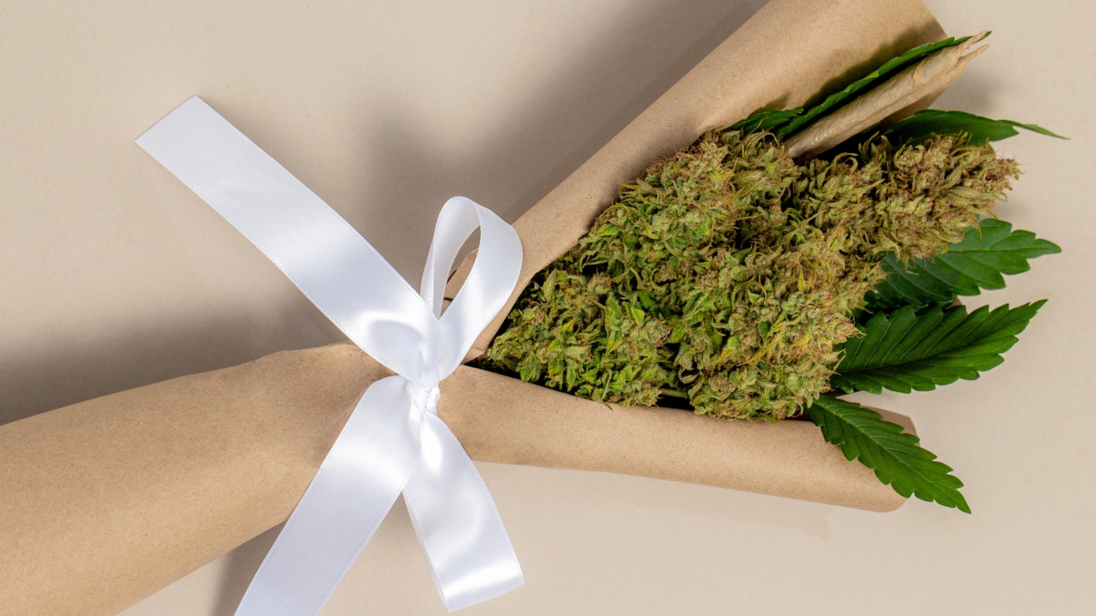 Discover Premium Weed Spain Experiences at Clubs Cannabis Madrid