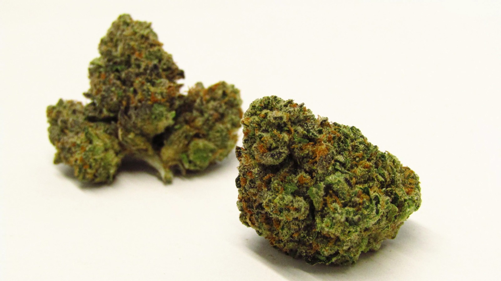 Blue Meanies – Trusted Cannabis and Mushroom Products at Bud Cargo